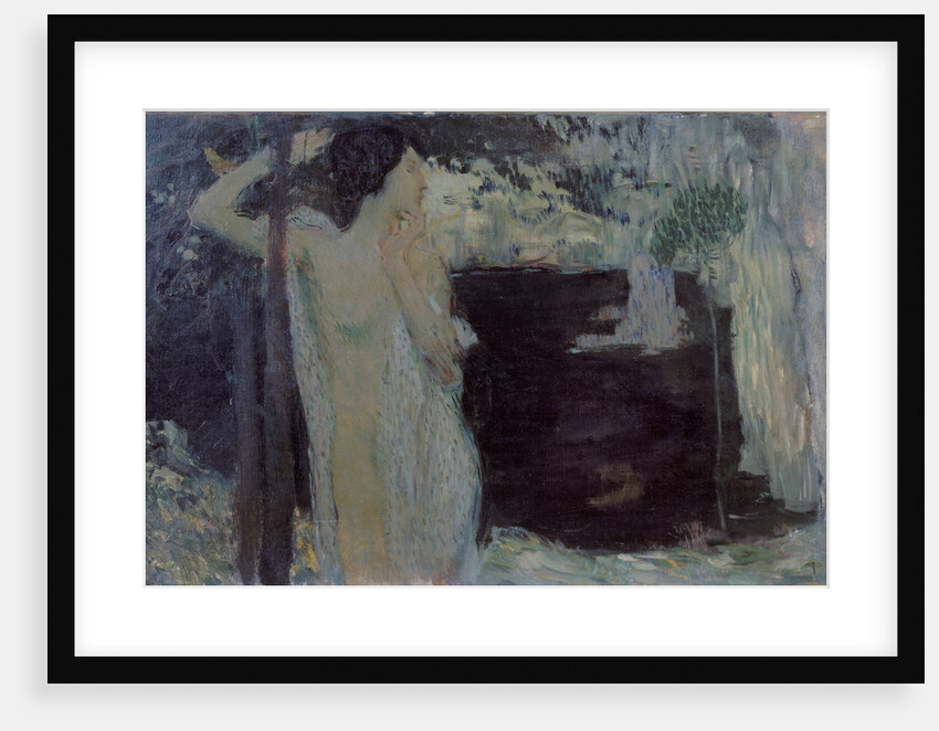 Woman at Black Lake, 1904 by Jan Preisler
