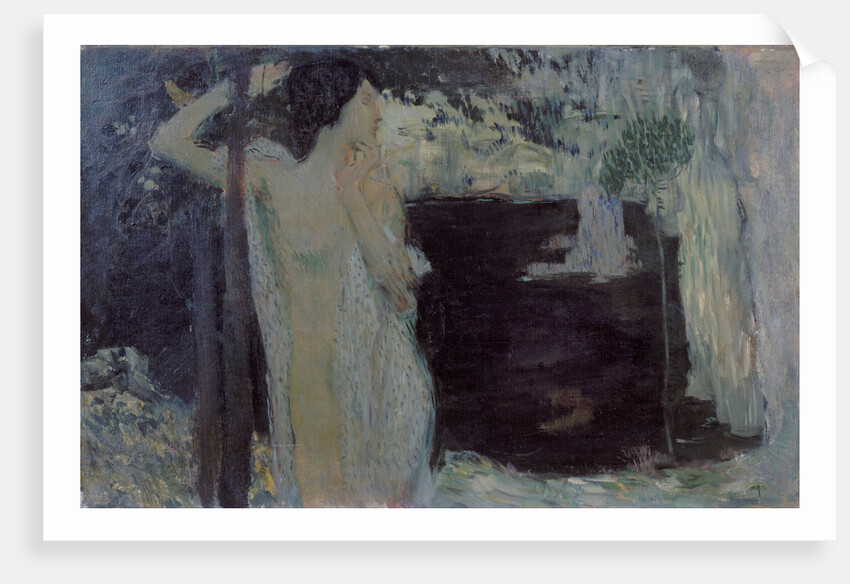 Woman at Black Lake, 1904 by Jan Preisler