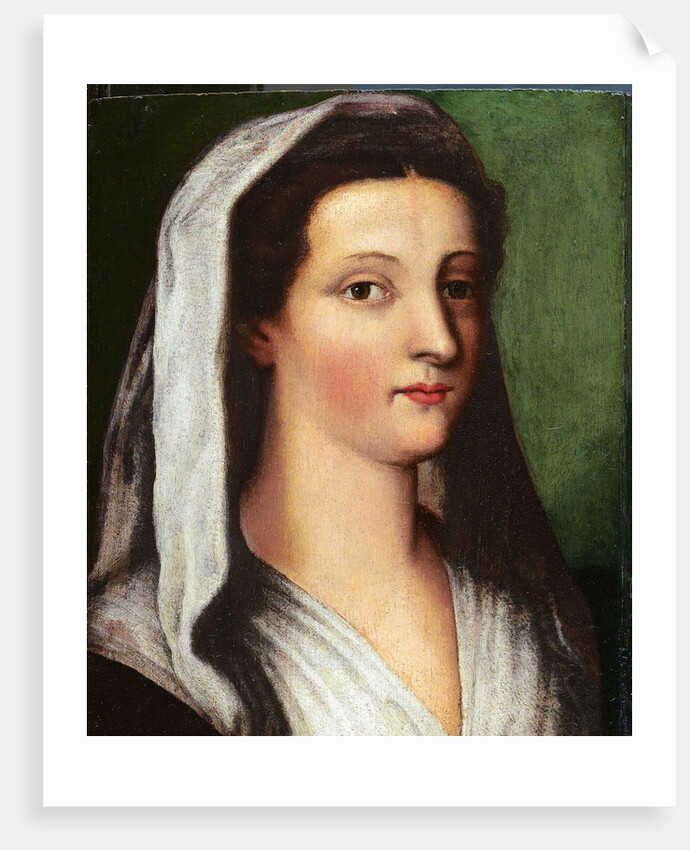 Portrait of Giulia Gonzaga, 16th century by Sebastiano del Piombo