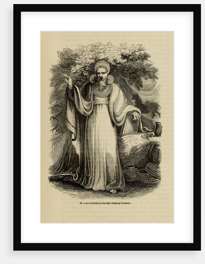 Arch-Druid in his full Judicial Costume by Anonymous