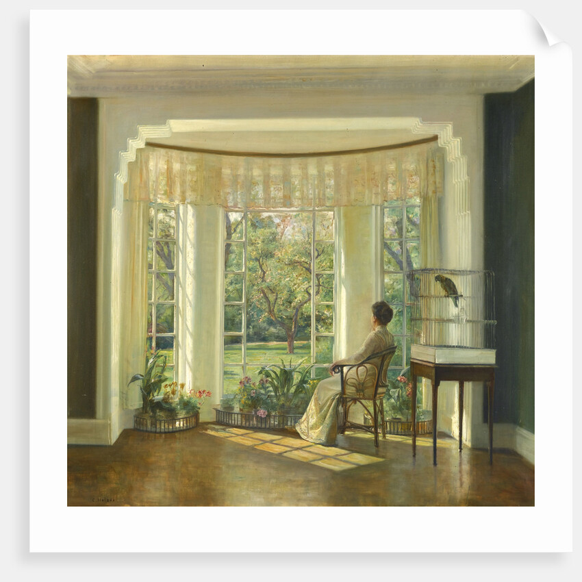 Reflections by Carl Holsøe