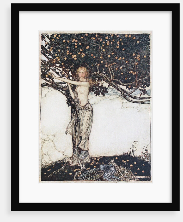 Freia, the fair one. Illustration for The Rhinegold and The Valkyrie by Richard Wagner, 1910 by Arthur Rackham