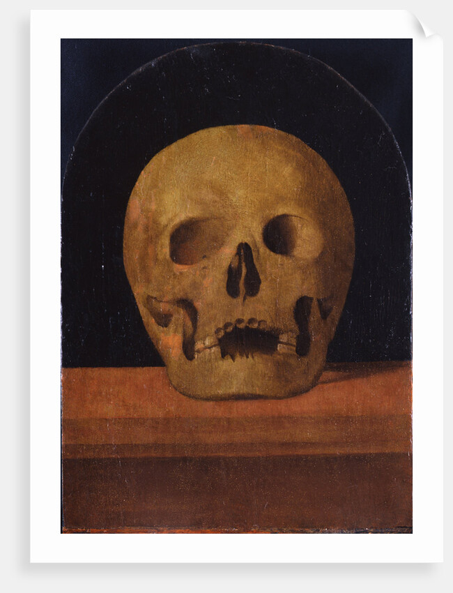 Memento mori. The back side of the triptych, 1500 by Mariotto Albertinelli