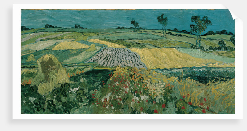The Plain of Auvers, 1890 by Vincent van Gogh