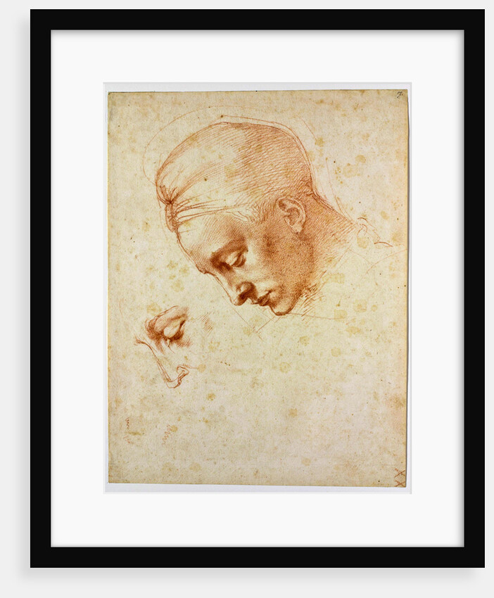 Study to the head of Leda, ca 1530 by Michelangelo Buonarroti