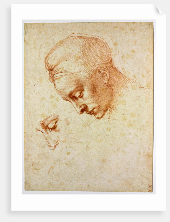 Study to the head of Leda, ca 1530 by Michelangelo Buonarroti