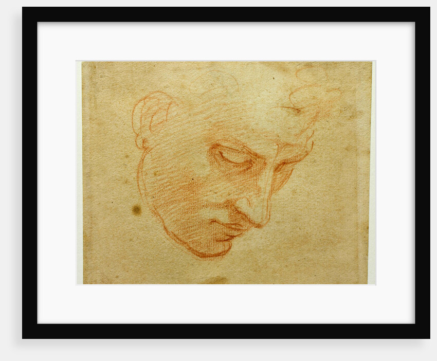 Head Study to the Sistine Chapel ceiling, ca 1509-1510 by Michelangelo Buonarroti