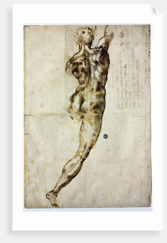 Nude from behind, c. 1504 by Michelangelo Buonarroti