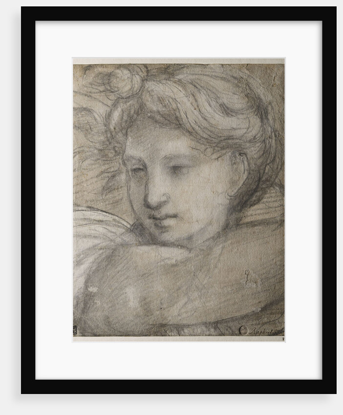 Head of an Angel, c. 1520 by Raphael