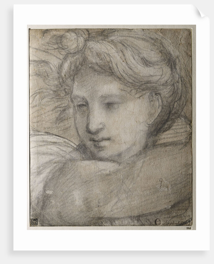 Head of an Angel, c. 1520 by Raphael