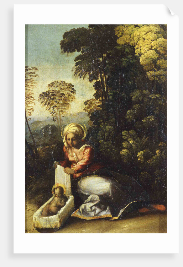 Madonna with Child (La Zingarella), c. 1513 by Dosso Dossi