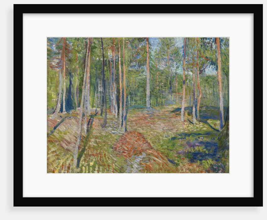 Pine Forest, 1891-1892 by Edvard Munch