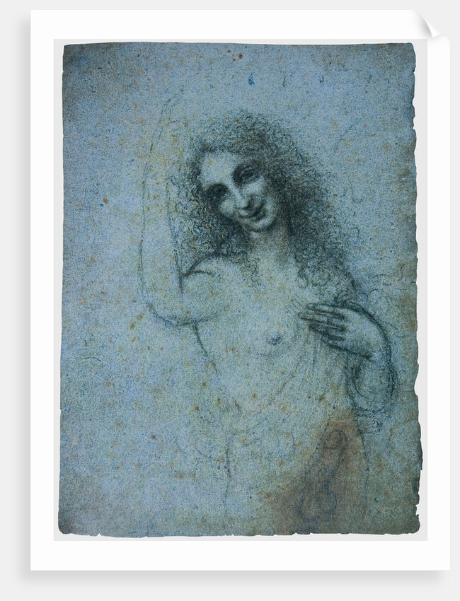 The Angel in the Flesh, ca 1514 by Leonardo da Vinci