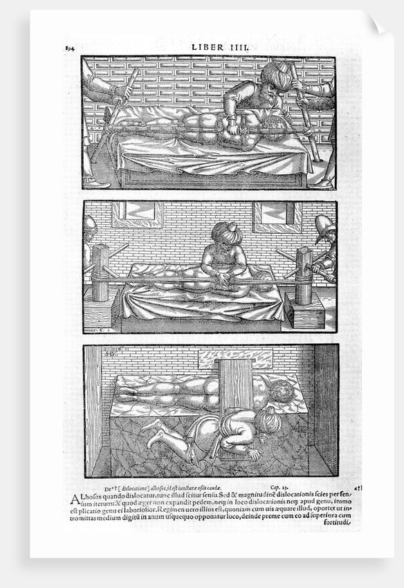 Illustration from Liber canonis de medicinis cordialibus by Avicenna, 1556 by Anonymous