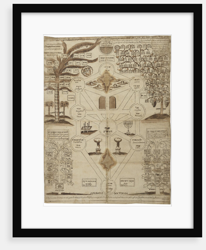Arbor Cabalistica (Kabbalistic Tree), ca 1625 by Anonymous