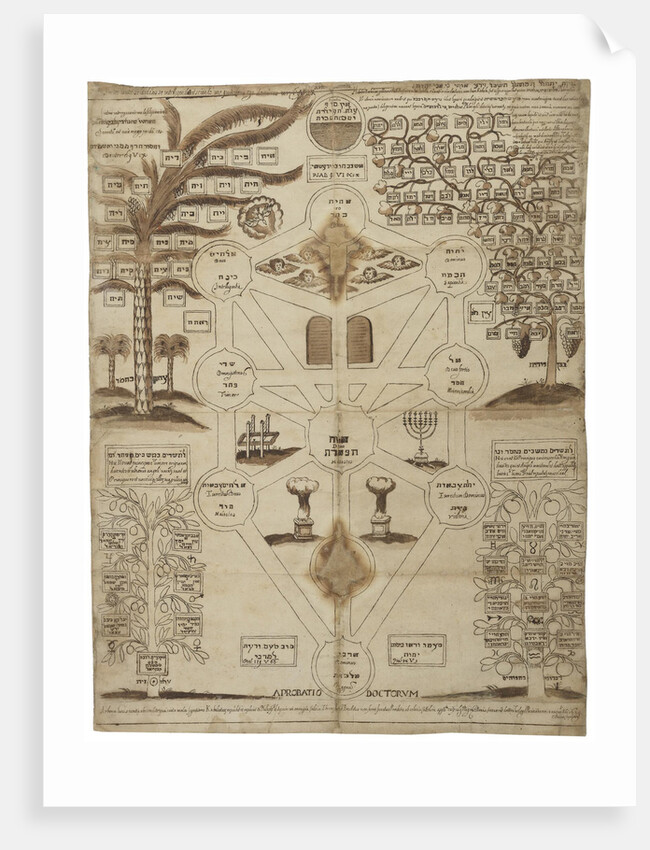 Arbor Cabalistica (Kabbalistic Tree), ca 1625 by Anonymous