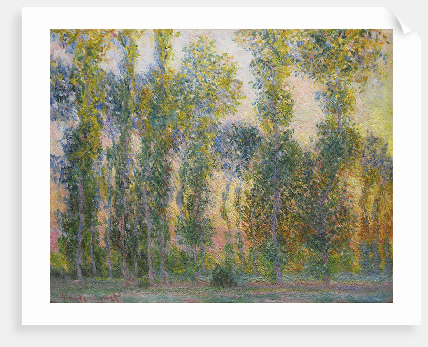 Poplars at Giverny, 1887 by Claude Monet