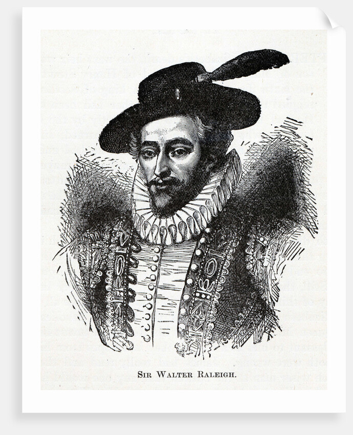 Sir Walter Raleigh, 1882 by Anonymous