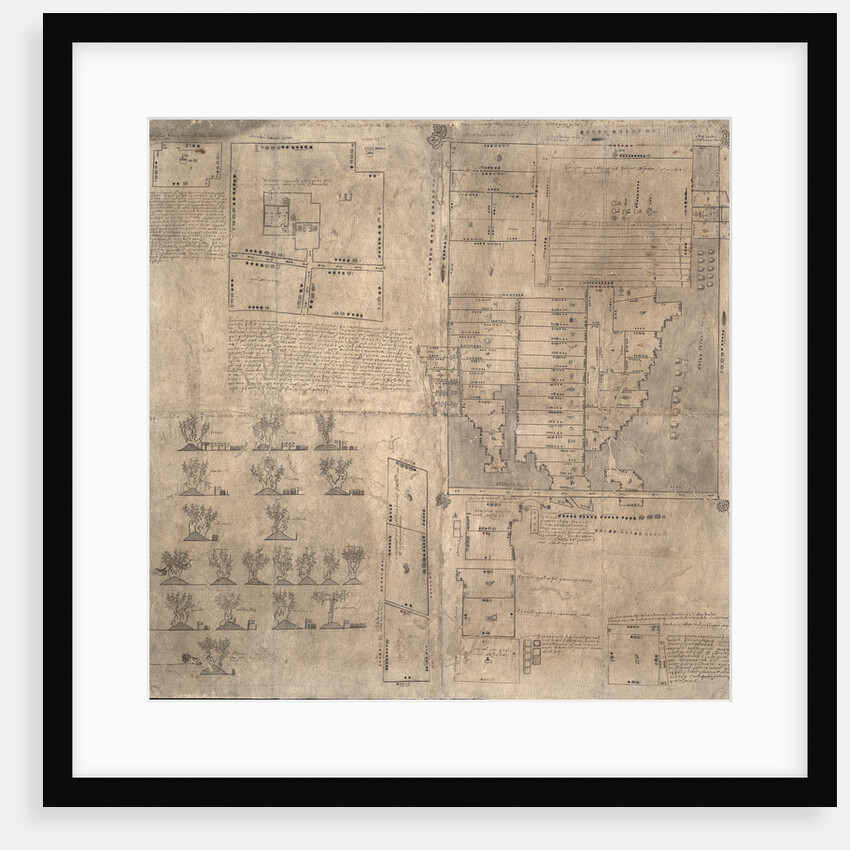 Aztec Oztoticpac map, c.1540 by Pre-Columbian art