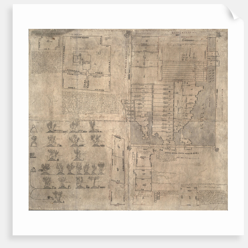 Aztec Oztoticpac map, c.1540 by Pre-Columbian art