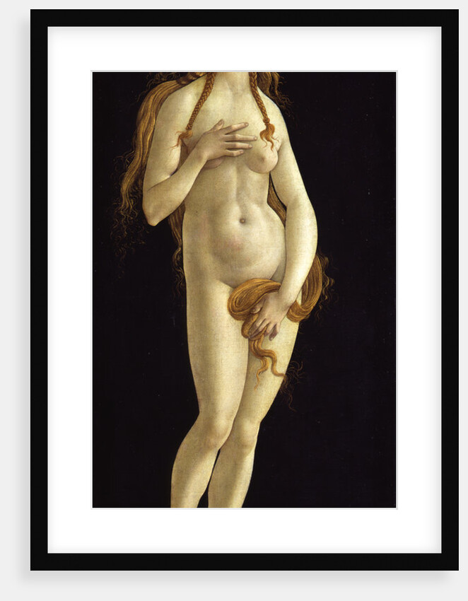 Venus, 1490 by Anonymous