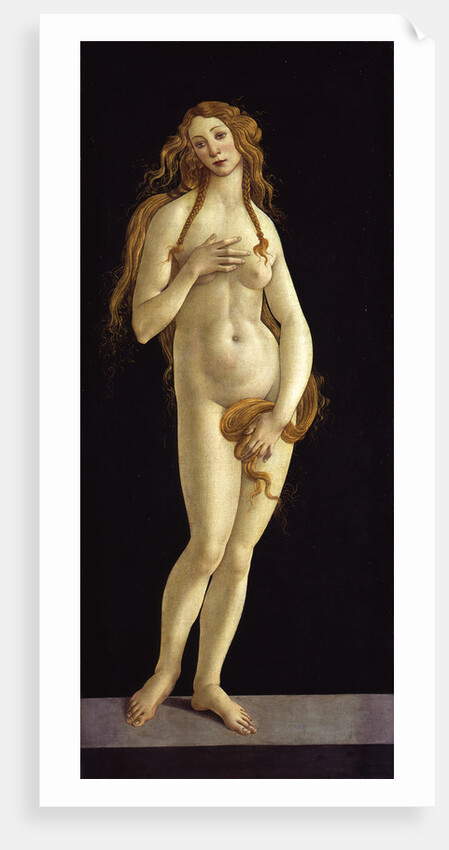 Venus, 1490 by Anonymous