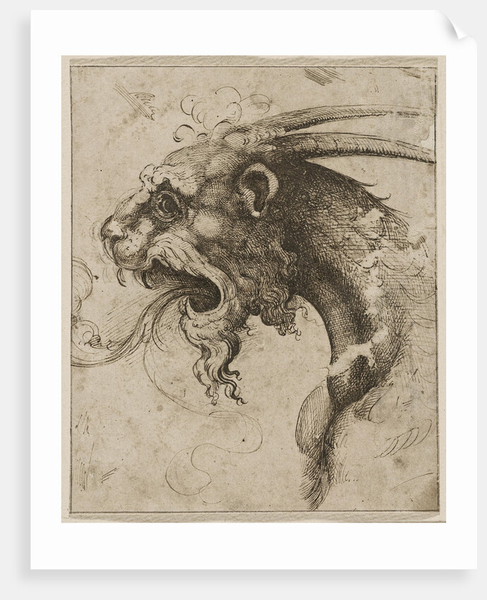 Head of a Chimera by Anonymous