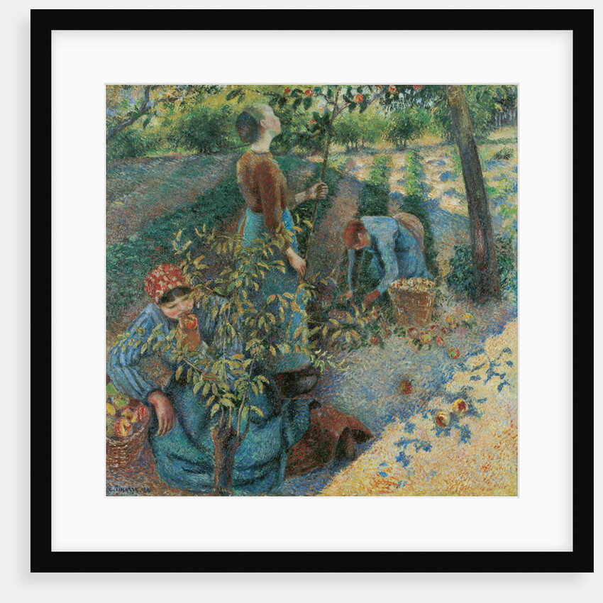 Apple Picking, 1886 by Anonymous