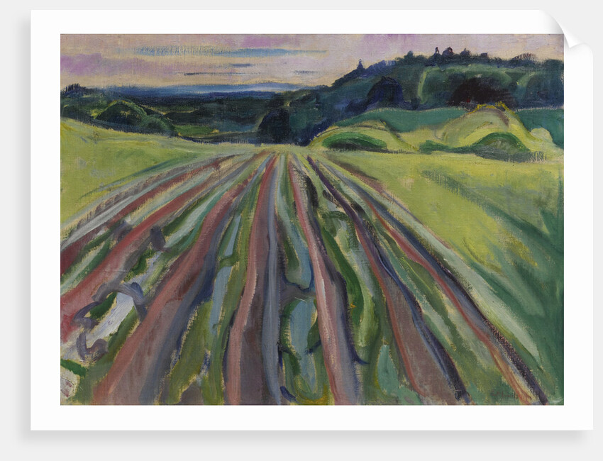 Ploughed field, 1916 by Anonymous