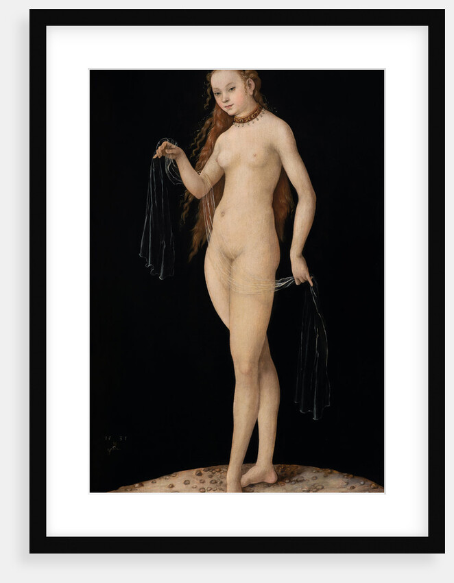 Venus, 1531 by Anonymous