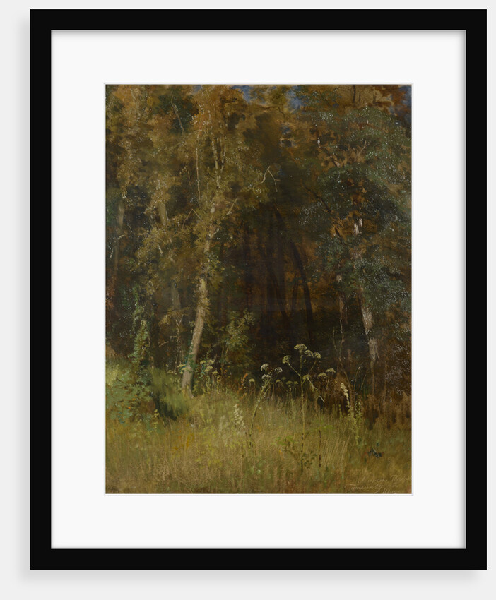 Forest Thicket, 1874 by Anonymous