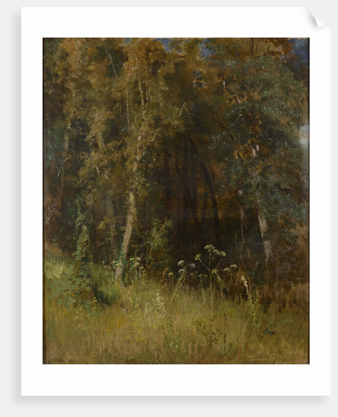 Forest Thicket, 1874 by Anonymous