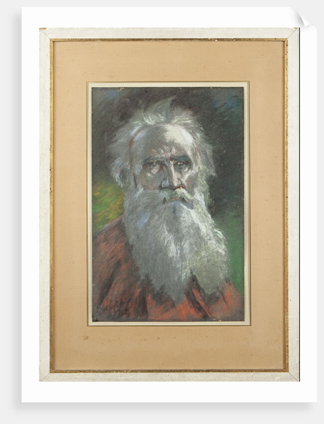 Portrait of the author Count Lev Nikolayevich Tolstoy by Anonymous