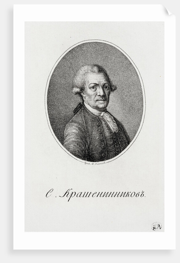 Portrait of Stepan Petrovich Krasheninnikov by Anonymous