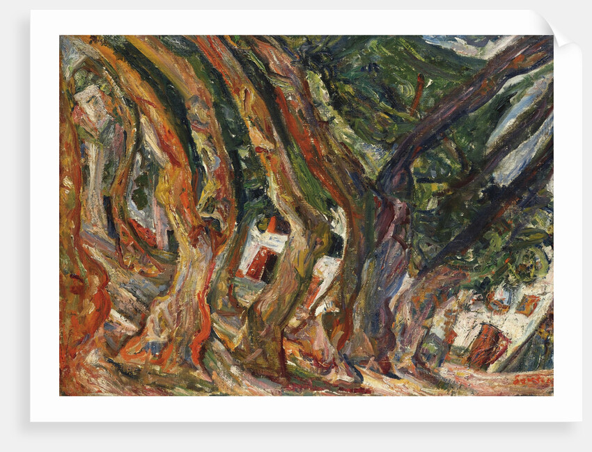 Les platanes à Céret by Anonymous