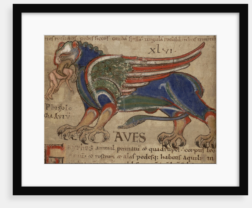 Miniature from the Manuscript Liber Floridus by Anonymous
