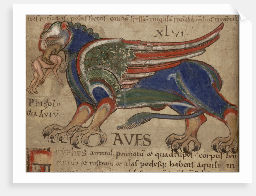 Miniature from the Manuscript Liber Floridus by Anonymous