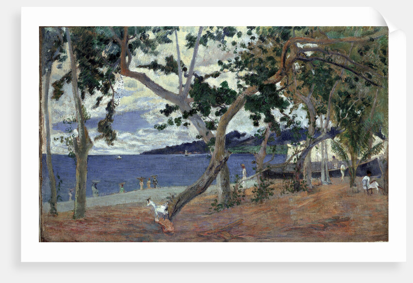 At the seashore, Martinique by Anonymous
