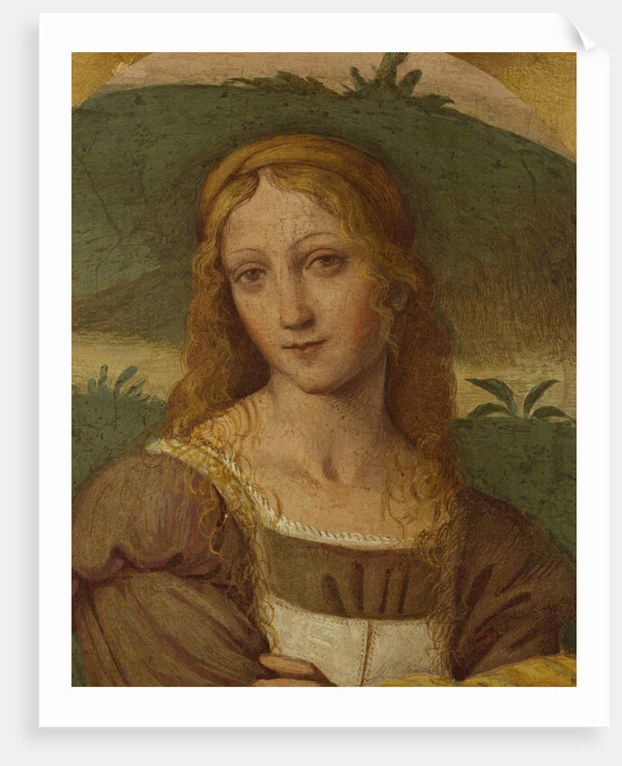 Female figure by Anonymous