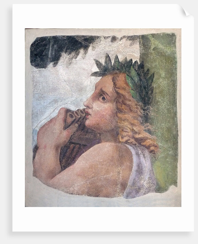 Virgil by Anonymous