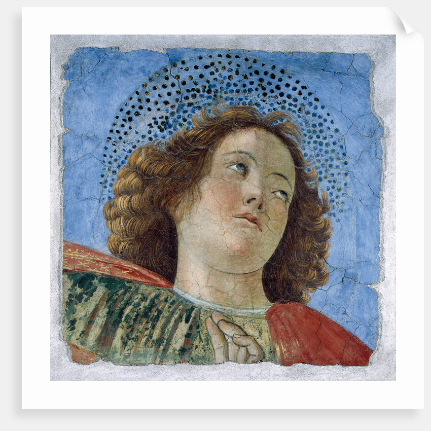 Head Of A Young Apostle by Anonymous