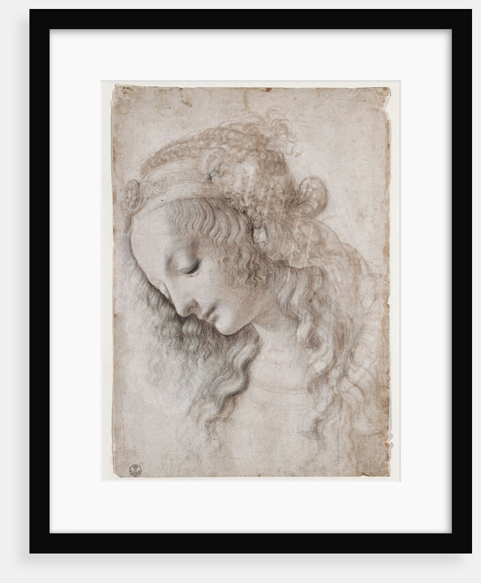 Study Of Female Face by Anonymous