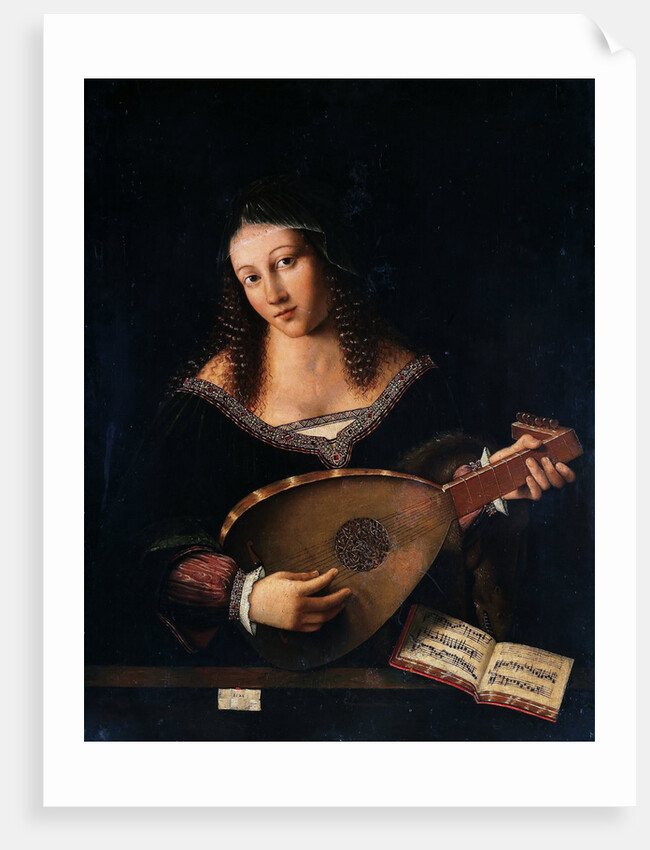 The Lute Player by Anonymous