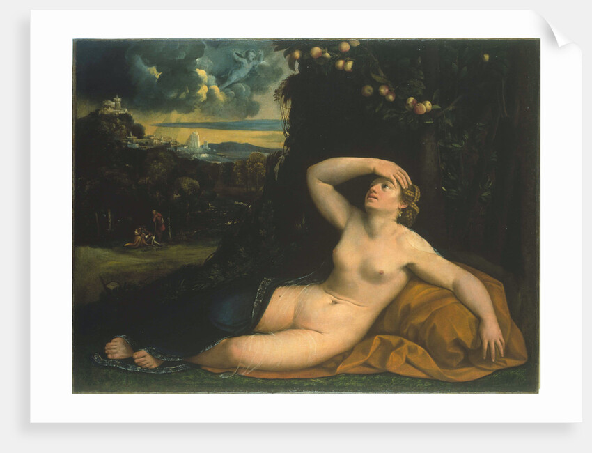 Venus awakened by Cupid by Anonymous
