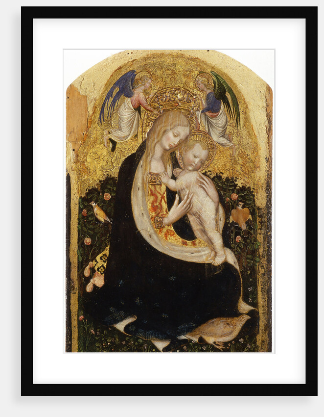 Madonna of the Quail (Madonna della Quaglia) by Anonymous