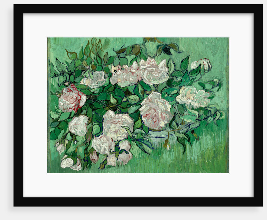 Pink Roses by Anonymous