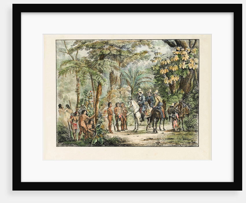 The encounter between the Native Americans and Europeans by Anonymous