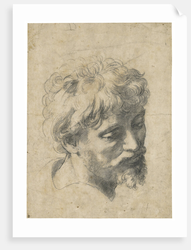 Head of a Young Apostle by Anonymous