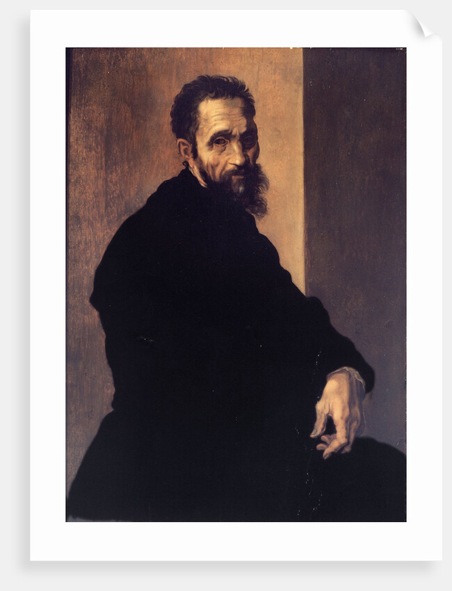 Portrait of Michelangelo Buonarroti by Anonymous