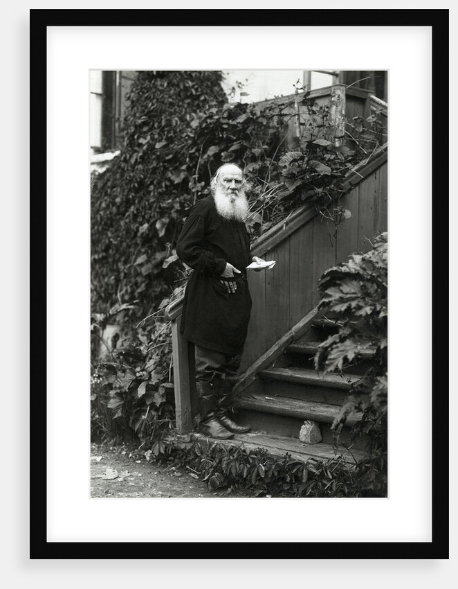 Portrait of the author Count Lev Nikolayevich Tolstoy by Anonymous